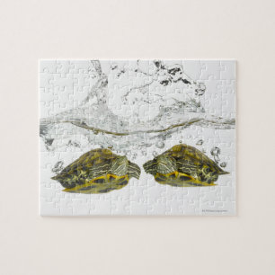 Red slider turtles jigsaw puzzle
