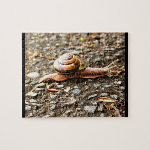 Red Snail on the Ground Jigsaw Puzzle