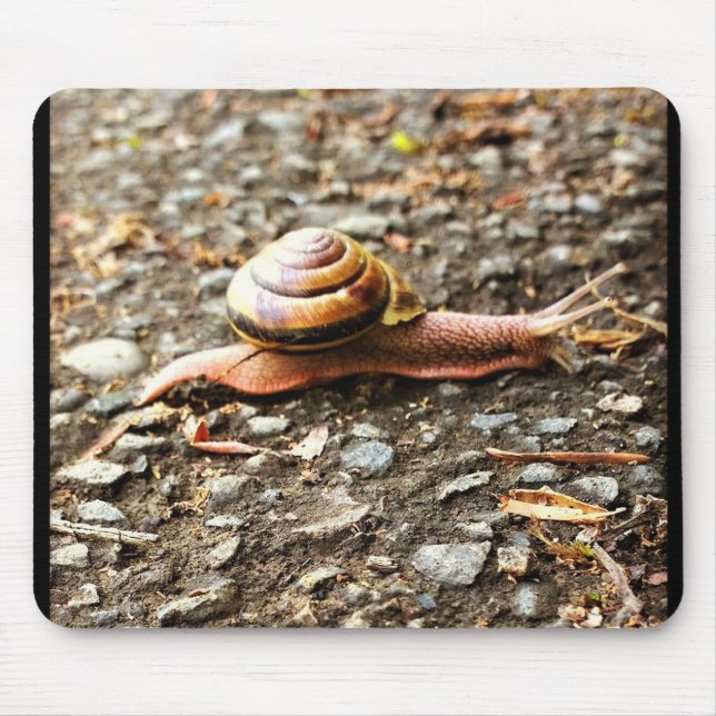 Red Snail on the Ground Mouse Pad (Front)