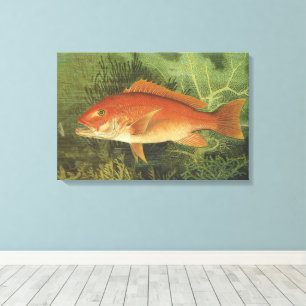 Red Snapper Fish in the Ocean, Vintage Marine Life Canvas Print