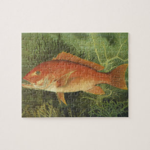 Red Snapper Fish in the Ocean, Vintage Marine Life Jigsaw Puzzle