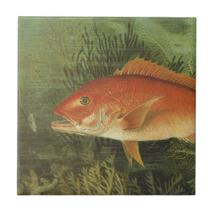 Red Snapper Fish in the Ocean, Vintage Marine Life Tile