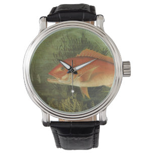 Red Snapper Fish in the Ocean, Vintage Marine Life Watch