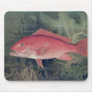 Red Snapper, from 'Game Fishes of the United State Mouse Pad