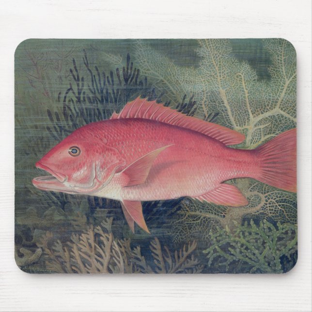 Red Snapper, from 'Game Fishes of the United State Mouse Pad (Front)