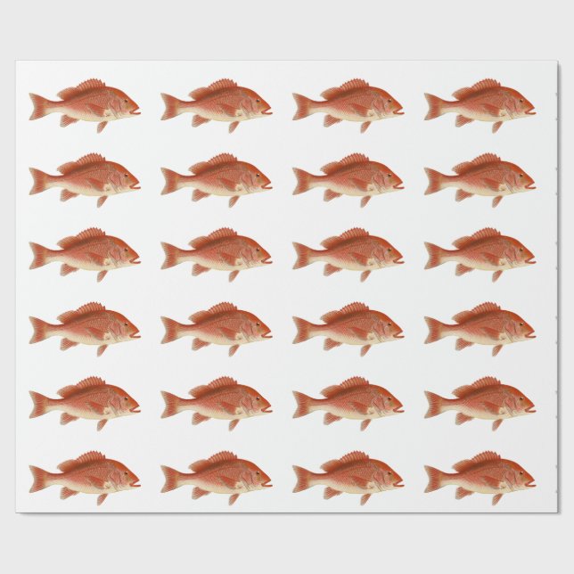 Red Snapper Wrapping Paper (Flat)