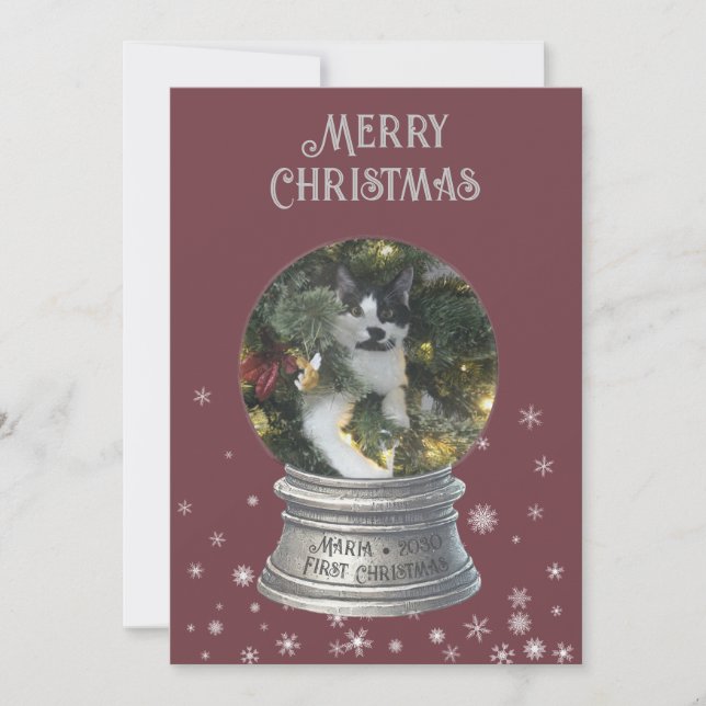 Red Snowglobe Snowflake Photo Flat Holiday Card (Front)