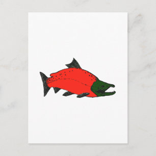 Red - Sockeye Salmon Art Postcard
