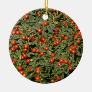 Red Solanum Pseudocapsicum (Jerusalem Cherry) flow Ceramic Ornament