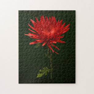 Red Spider Mum Jigsaw Puzzle