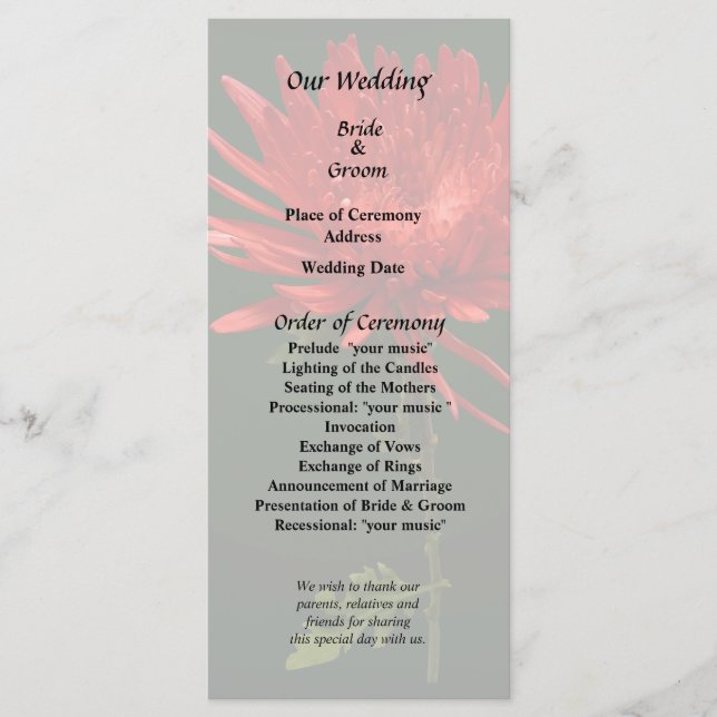 Red Spider Mum Program (Front)