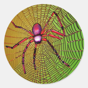 Red  Spider on Web  Classic Round Sticker