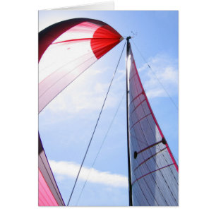 Red Spinnaker With Sun