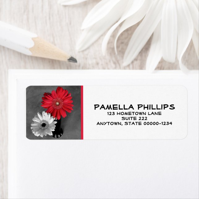 Red Splashed Dahlia | Still Life Photography (Insitu)