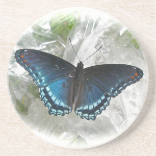 Red Spotted Purple Butterfly Coaster