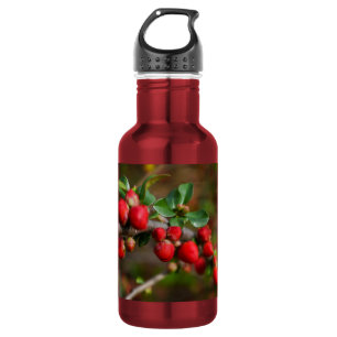 Red Spring Buds Stainless Steel Water Bottle