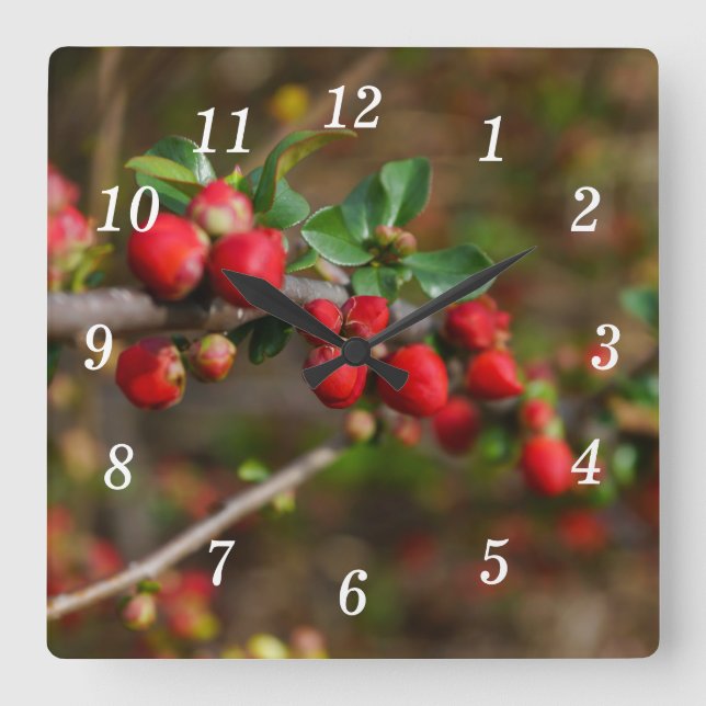 Red Spring Buds Wall Clock (Front)