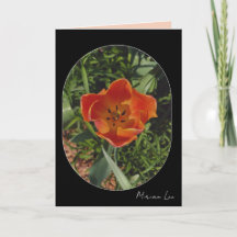 red spring flower