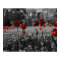 Red Spring Tulips