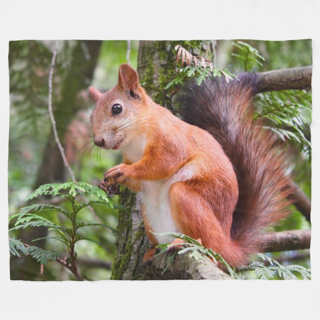 RED SQUIRREL 2 FLEECE BLANKET (Front (Horizontal))