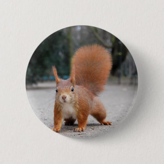 Red Squirrel 2 Inch Round Button