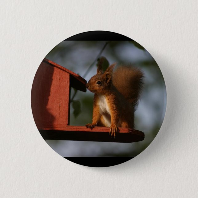 Red squirrel 2 inch round button (Front)