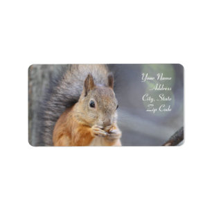 Red Squirrel Address Labels