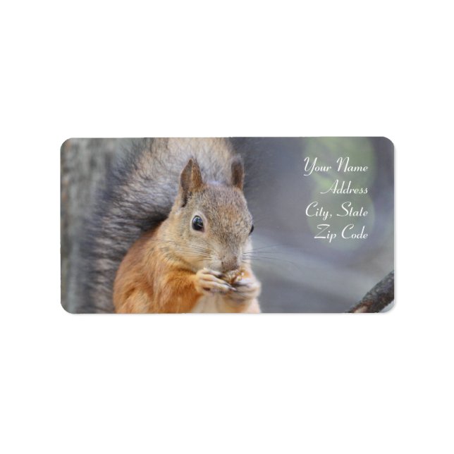 Red Squirrel Address Labels (Front)