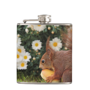 Red Squirrel and Daisies Cute Photo Hip Flask