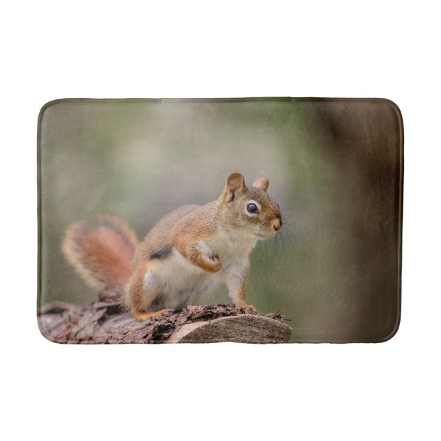Red Squirrel Bath Mat (Front)