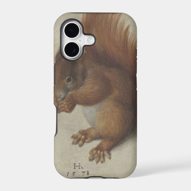 Red Squirrel (by Hans Hoffmann) (Back)