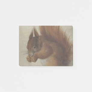 Red Squirrel (by Hans Hoffmann) Post-it Notes