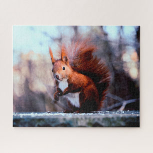 Red Squirrel Close up, Jigsaw Puzzle