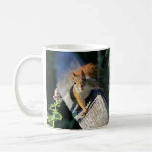 Red squirrel coffee mug