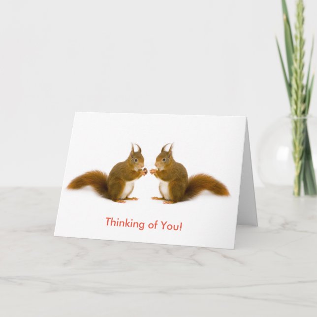 Red squirrel image for Get-Well Greeting card (Front)