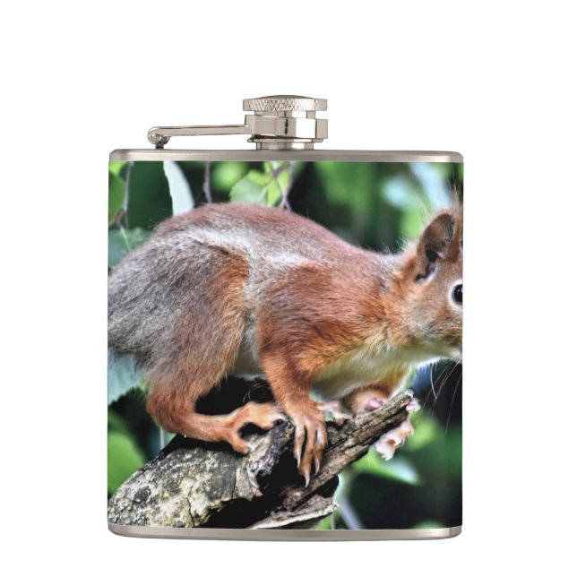Red Squirrel in Tree Hip Flask (Front)