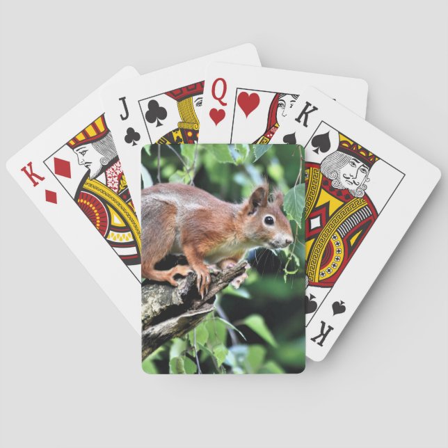 Red Squirrel in Tree Playing Cards (Back)