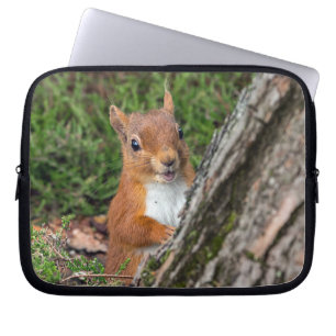 red squirrel laptop sleeve