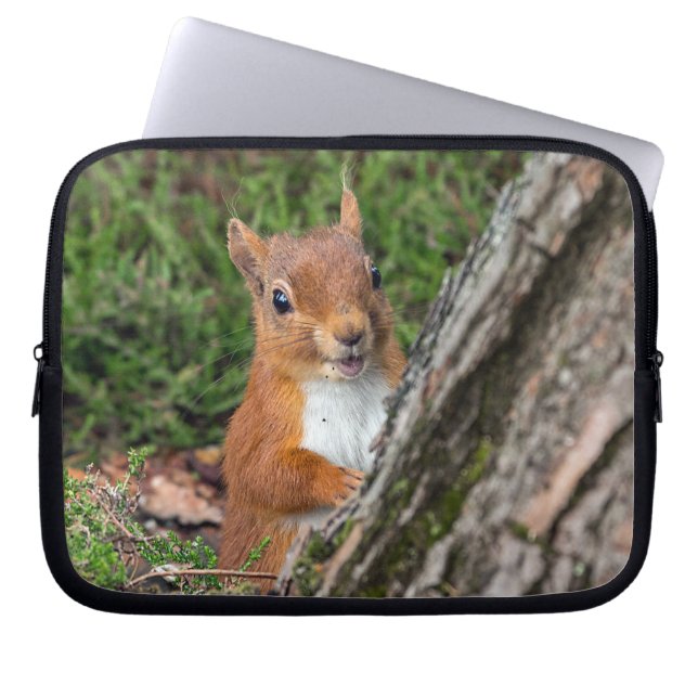 red squirrel laptop sleeve (Front)