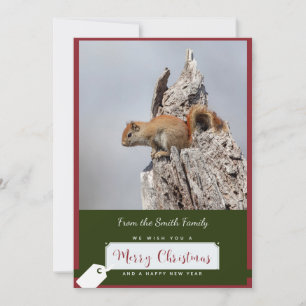 Red Squirrel on a Christmas Card