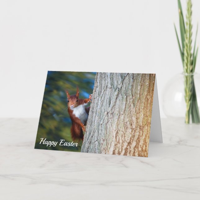 Red Squirrel on Tree, Happy Easter Card (Front)