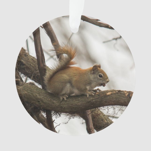 Red Squirrel Ornament (Front)