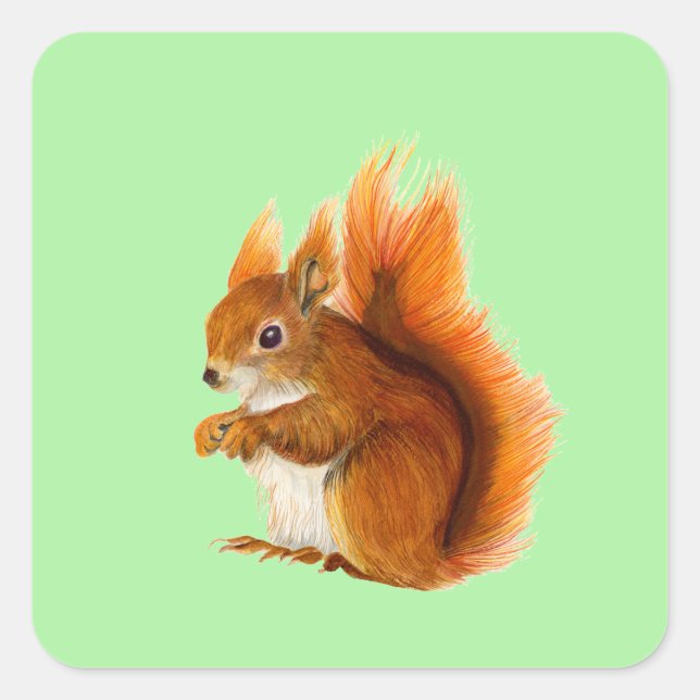 Red Squirrel Painted in Watercolor Wildlife Art Square Sticker (Front)