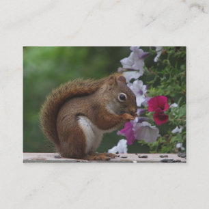 Red Squirrel & Petunias ATC Business Card
