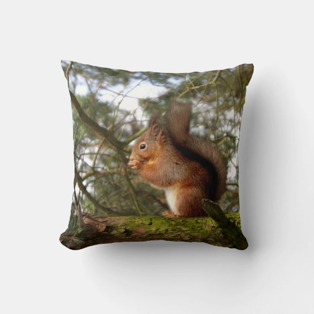 Red Squirrel Pillow/Cushion Throw Pillow (Front)