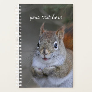 Red Squirrel Planner