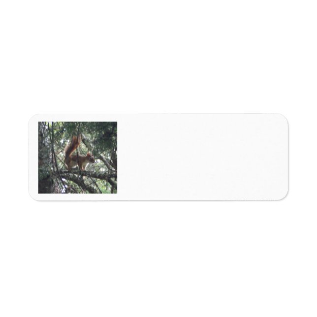 Red Squirrel Return Address Labels (Front)