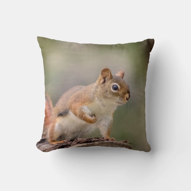 Red Squirrel Throw Pillow (Front)