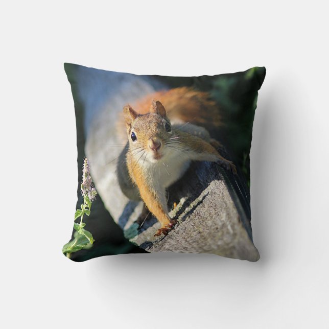 Red squirrel throw pillow (Front)