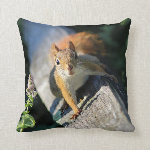 Red squirrel throw pillow